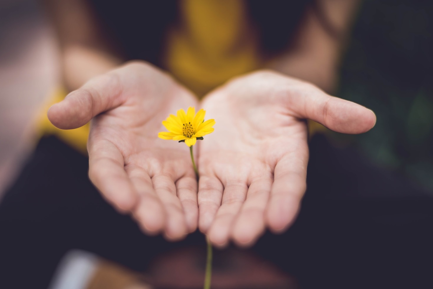 The Role of Lifestyle in Holistic Healing