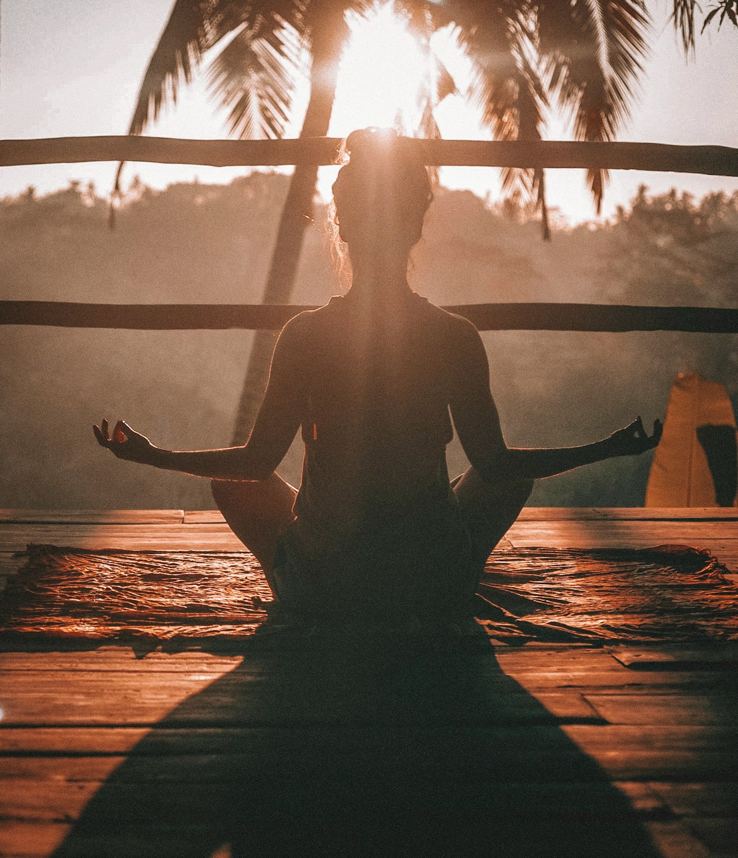 Transform Your Health Naturally: A Beginner’s Guide