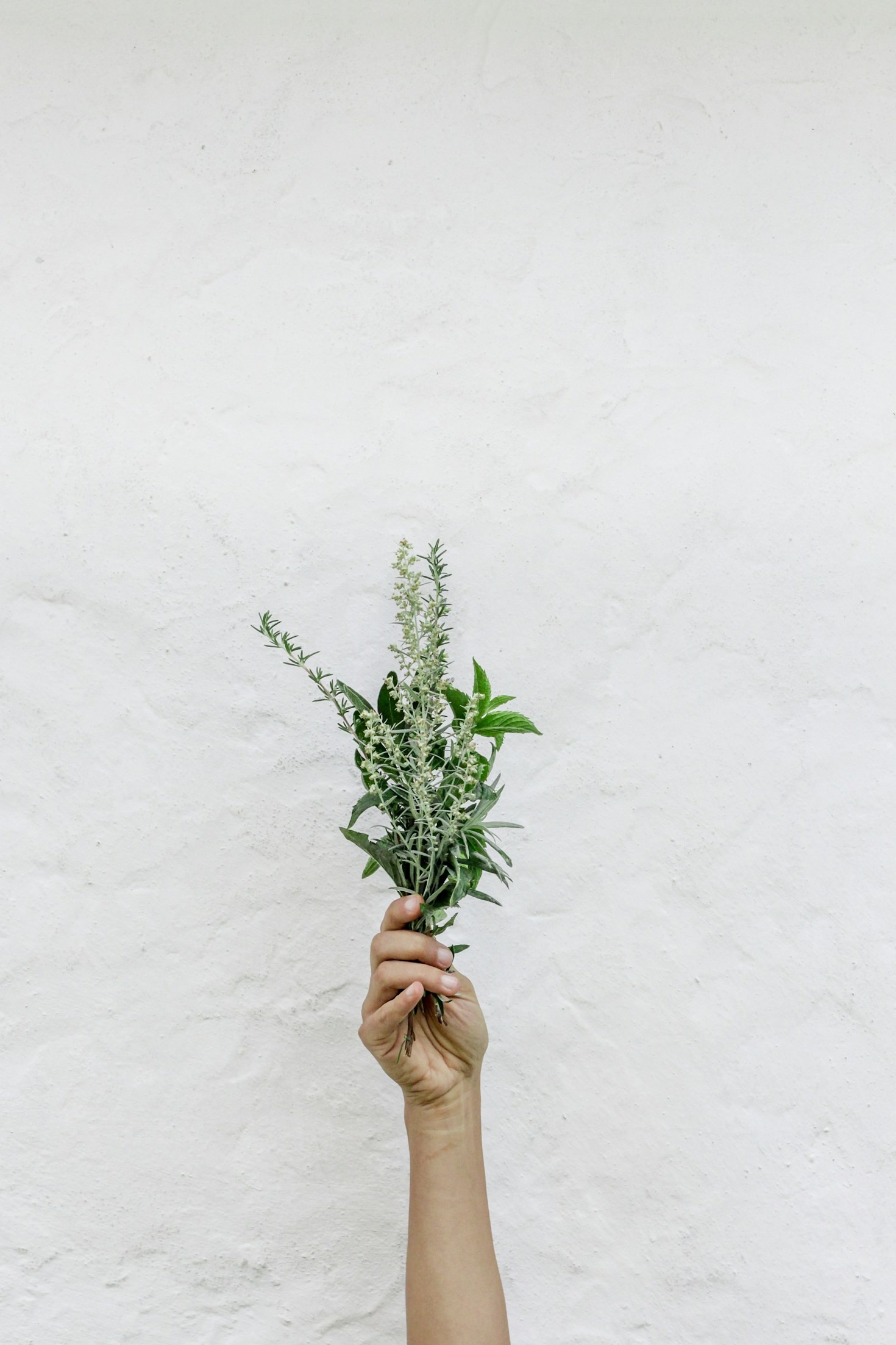 Why Holistic Care is Essential for Modern Living